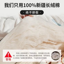北京定做手工被子棉被芯棉花被加厚保暖单人棉被棉絮床垫冬被全棉