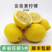 四川安岳黄柠檬新鲜水果奶茶店专用泡水饮料皮薄多汁一级好果柠檬