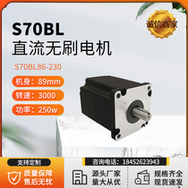 厂家推荐大功率高速三相直流无刷电机S70BL87-230电压24v3000转