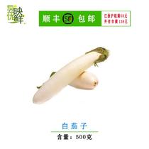 上海崇明新鲜白茄子时令蔬菜500克