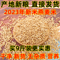新米燕麦米2023年纯生裸燕麦仁粒莜麦全胚芽米10粗粮商用内蒙古斤