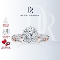 DR TIMELESS简奢款求婚钻戒钻石戒指女款订婚克拉设计师款WJ0274
