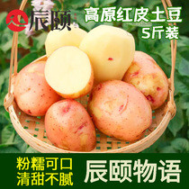 辰颐物语云南红皮大土豆5斤装18到30个高原黄心马铃薯整箱当季