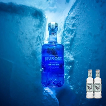 提取冰川纯净融化水 BIVROST ARCTIC GIN挪威北极光金酒杜松子酒