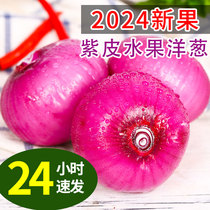 云南水果洋葱紫皮圆葱葱头新鲜蔬菜农家甜味生吃红洋葱水果 9斤