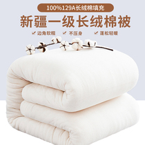 新疆棉花被芯一级优质长绒棉纯棉花被子冬被加厚保暖棉絮床垫手工