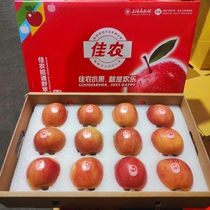佳农云南昭通野苹果原箱礼盒6斤装新鲜水果红富士丑苹果脆甜多汁