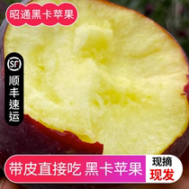 云南昭通黑卡苹果黑钻苹果黑色纯甜苹果新鲜水果整箱10斤新鲜采摘