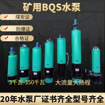 矿用隔爆型潜水排沙泵BQS50-50-37抽水泵防爆泵大功率电动抽水泵