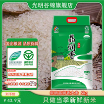 23年新米光明谷锦国企粮源晶润香5kg崇明大米稻米10斤软糯香粳米