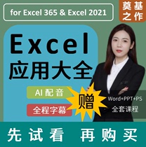 Excel表格函数视频教程WPS Office办公软件Word/PPT/PS零基础网课