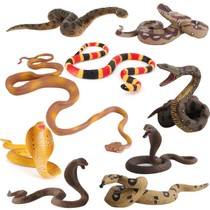 贝壳鱼动物模型玩具 野生仿真动物模型 毒蛇模型玩具