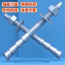 特殊倒锥形化学螺栓高强度胶粘型M10M12M16M18M20M24国标定型锚栓
