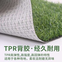 仿真草坪室内地毯脚垫人工人造草皮塑料假草垫装饰环保白胶底TPR