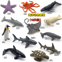 仿真海洋动物模型玩具海龟鲸鱼海豚塑胶实心鲨鱼套装儿童认知礼物