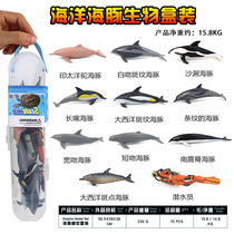 仿真海洋收纳盒套装模型领航鲸鱼玩具海豚塑胶益智认知儿童礼物