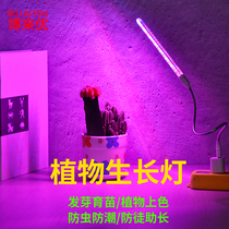 USB新款led植物灯生长灯室内阳光补光灯花卉盆栽灯多肉植物专用灯