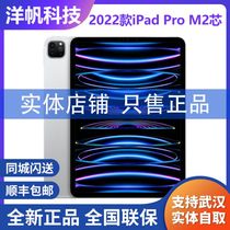 Apple/苹果 iPad Pro全新2022款11英寸iPad Pro 12.9全面屏M2平板