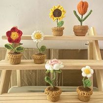DIY Handwoven Mini Potted Flower Rose Office Desktop Ornamen