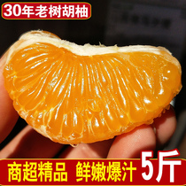 鲜农惠胡柚5斤正宗常山30年老树胡柚产地直发新鲜水果农家小柚子
