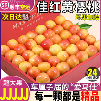 顺丰空运 3斤大连佳红黄樱桃5J雷尼尔黄金车厘子新鲜水果大整箱4