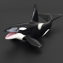 海洋动物仿真塑胶模型海底生物儿童套装玩具虎鲸大白鲨男女孩礼物