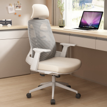 办公椅人体工学椅舒适靠背椅子护腰电脑椅家用久坐学习椅书房座椅