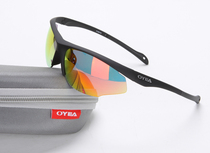 oyea欧野眼镜休闲运动防紫外线太阳镜骑行跑步镜镀膜款变色龙6501