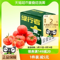 【欢乐零食节】绿行者桃太郎番茄普罗旺斯西红柿2.5kg新鲜采摘