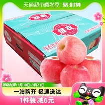 Goodfarmer/佳农洛川苹果2.5kg大果单果250g