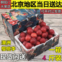 澳洲樱桃李4斤礼盒新鲜甜蜜小李子澳大利亚布林李子当季时令水果