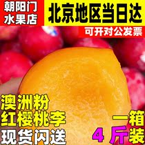 【北京现货】现货澳洲粉红樱桃李4斤 新鲜水果孕妇进口智利李子