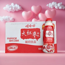 （广东包邮）娃哈哈大红枣枸杞奶酸奶 整箱 450ml*15瓶装 国民