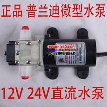 普兰迪微型水泵 溢压回流PLD1205 1206 2201螺纹型 12V 24V小水泵