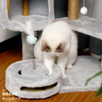 猫窝冬季保暖吊篮小幼猫床垫子四季通用可拆洗封闭式房子猫咪用品
