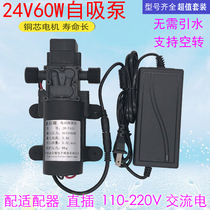 24V微型增压泵小型220V60W自吸抽水高压水泵家用净水机直流抽水机