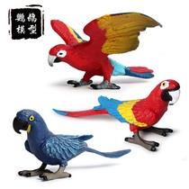 实心仿真野生动物模型鹦鹉飞禽鸟类套装新款金刚鹦鹉儿童玩具摆件