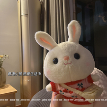 穿衣兔子公仔换装玩偶毛绒玩具兔年吉祥物小白兔布娃娃送女生礼物