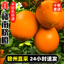橙子江西赣南脐橙10斤新鲜榨汁橙水果赣州当季冰糖甜橙整箱果冻橙