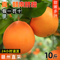 江西赣南新鲜脐橙新鲜水果橙子10斤产地直采正宗当季整箱冰糖甜橙