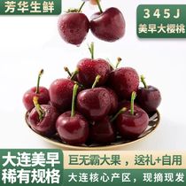 【精品】纯甜大连樱桃美早大樱桃3j4j5j车厘子新鲜应季水果3斤5斤