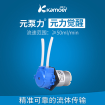 卡默尔蠕动泵12v泵微型泵自吸泵循环泵 电机抽水泵水冷泵头小水泵
