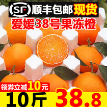 四川爱媛38号果冻橙红美人柑橘桔子手拨橙子当季新鲜水果10斤包邮
