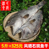 5斤整条石斑鱼干 湛江特产咸鱼干干货腊鱼自制风干黑鱼虎龙斑鱼干