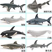 仿真海洋动物玩具模型实心海底生物世界巨齿鲨鱼虎鲸白鲸儿童套装