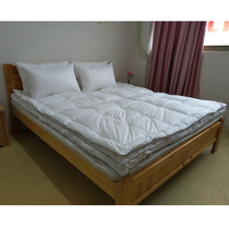 外贸民宿酒店宾馆羽绒床垫软垫床褥保护垫双层95白鹅绒舒适垫