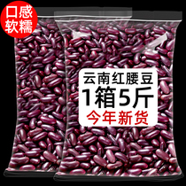 云南正宗红腰豆大红豆红芸豆商用特产杂粮酸菜红豆农家自产红小豆