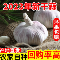 【便宜了】2023年新鲜新晒大蒜头干蒜5斤装农家自种蒜头1斤2斤3斤