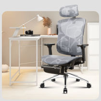 支家1606办公椅电脑椅人体工学椅舒适久坐电竞椅靠背座椅椅子护腰