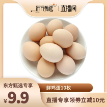 田园居鸡蛋45g*10枚新鲜散养土鸡蛋农家正宗草鸡蛋